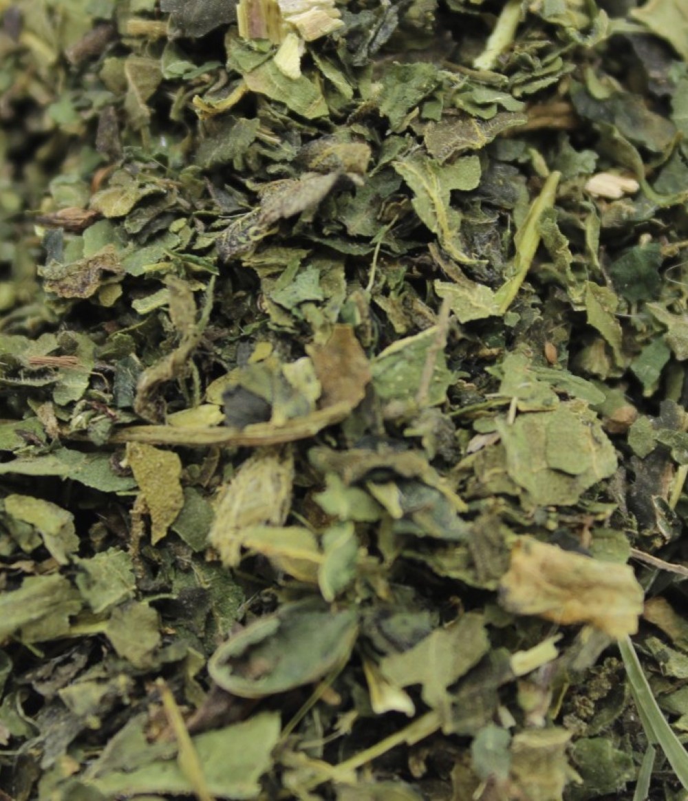 Buy Nettle Tea from Infuse Tea available online at VEND. Explore more Tea And Coffee collections now