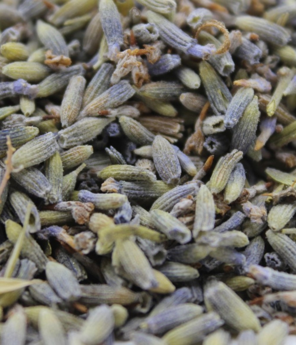 Buy Lavender Tea from Infuse Tea available online at VEND. Explore more Tea And Coffee collections now.