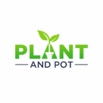 Plant And Pot